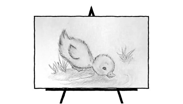 pencil sketch of a baby duckling drinking from pond on grass