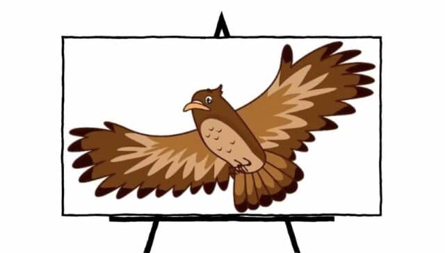 brown hawk open wingspan