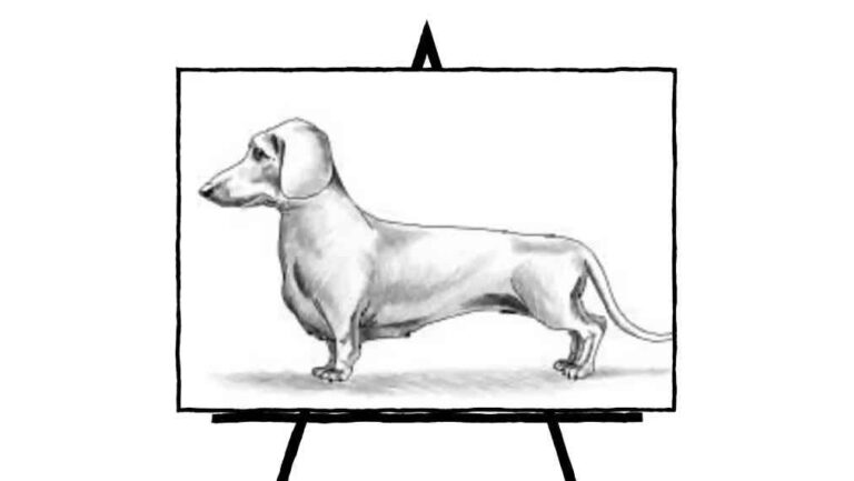 sketch of dachshund