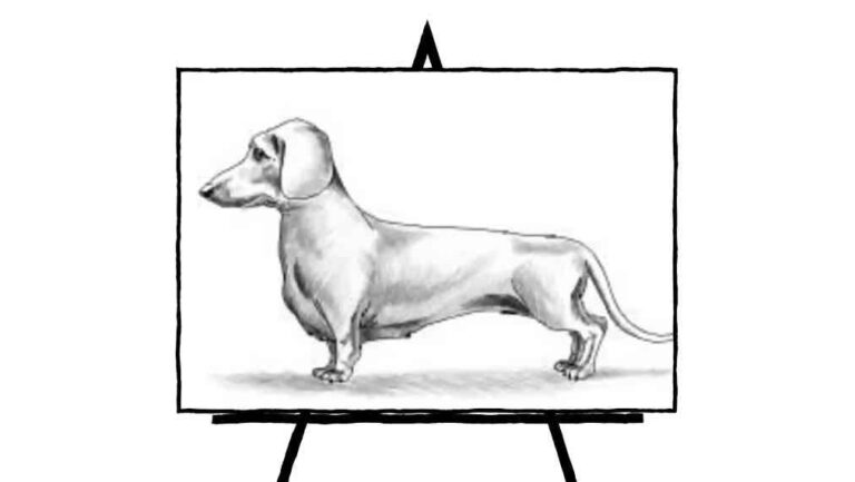 sketch of dachshund