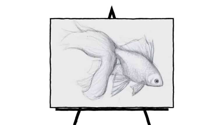 black and white image of goldfish sketch