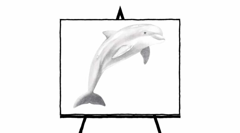 pencil sketch of black and white dolphin