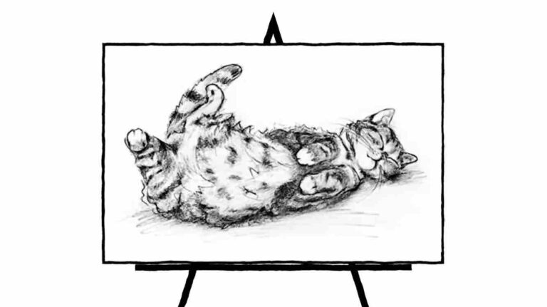 cat laying on back pencil sketch