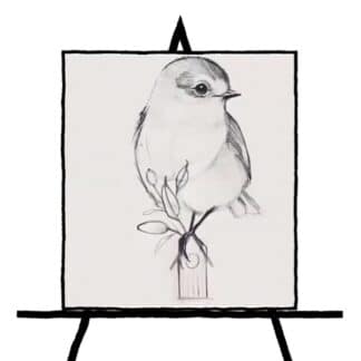 pencil sketch of bird