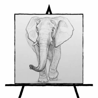 black and white pencil sketch of Elephant