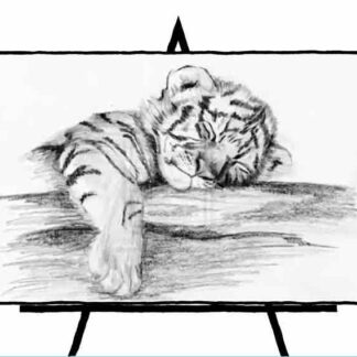 black and white sketch of tiger cub