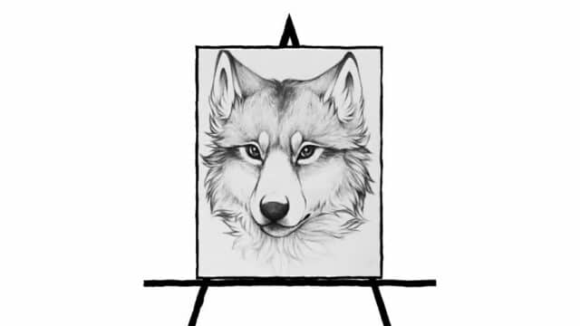 black and white pencil sketch of wolf head