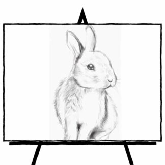 sketch of a rabbit in pencil