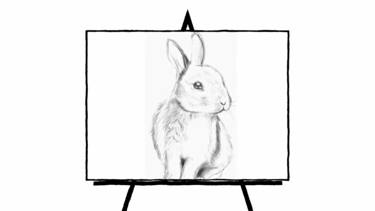 sketch of a rabbit in pencil