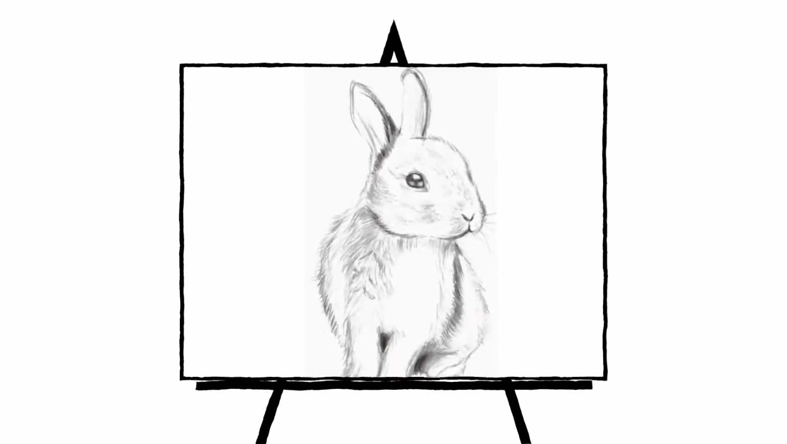 sketch of a rabbit in pencil
