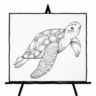 pencil sketch of sea turtle