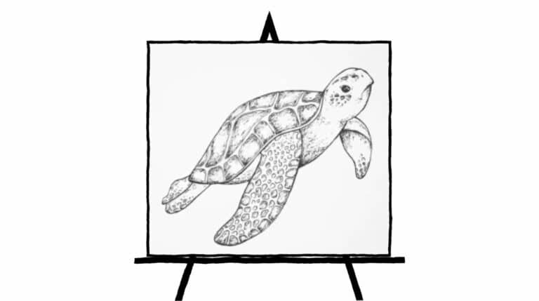 pencil sketch of sea turtle