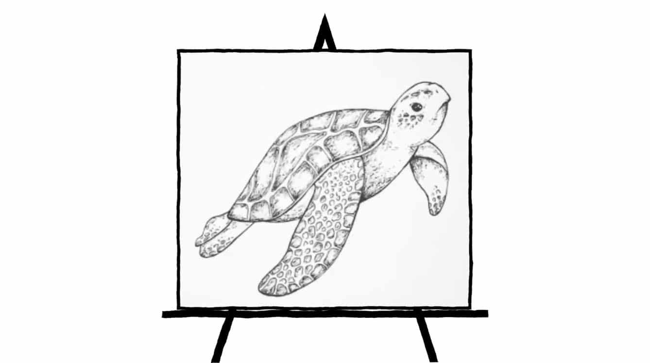 pencil sketch of sea turtle