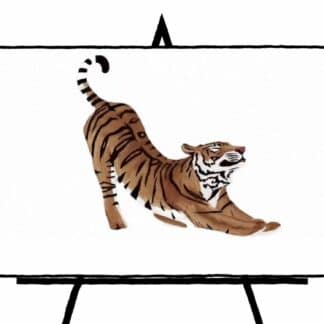 orange and brown colored tiger stretching