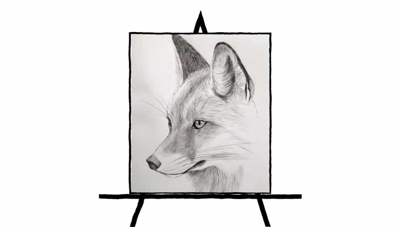 black and white pencil sketch of fox drawing