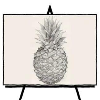 black and white pencil of pineapple