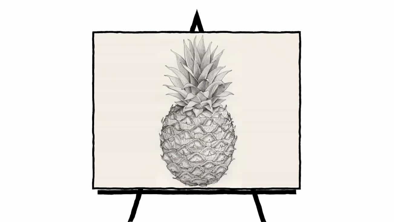 black and white pencil of pineapple