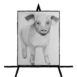 black and white pencil sketch of a pig