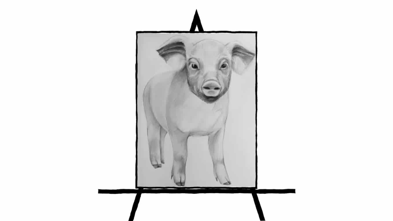 black and white pencil sketch of a pig