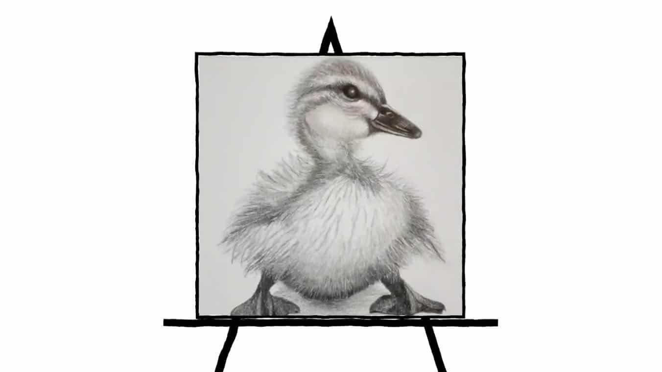 black and white pencil sketch of duckling