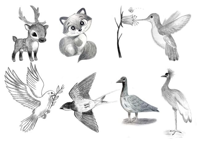 different animal sketches