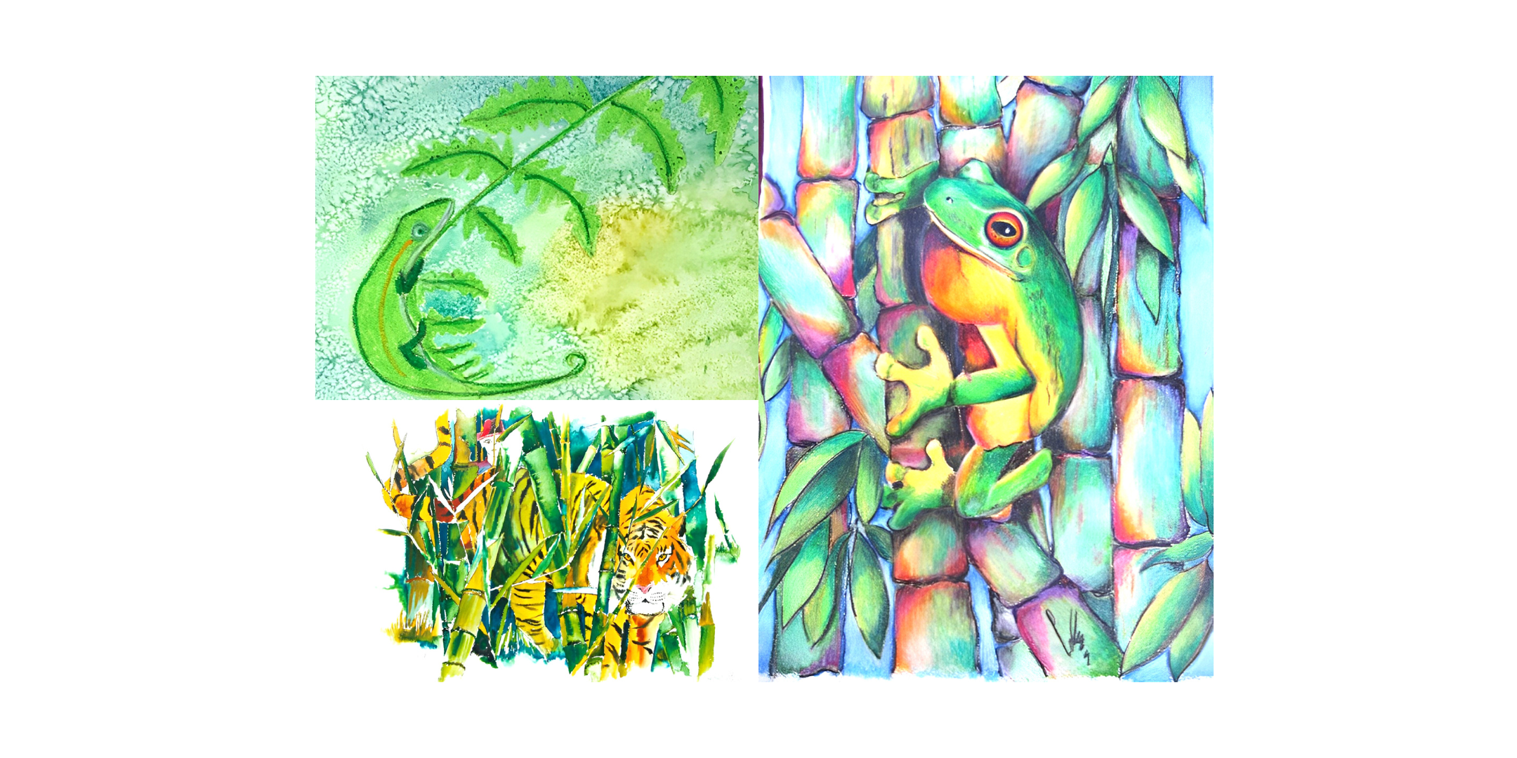 Patterns in Fur, Scales, and Feathers - Camouflaged Animals