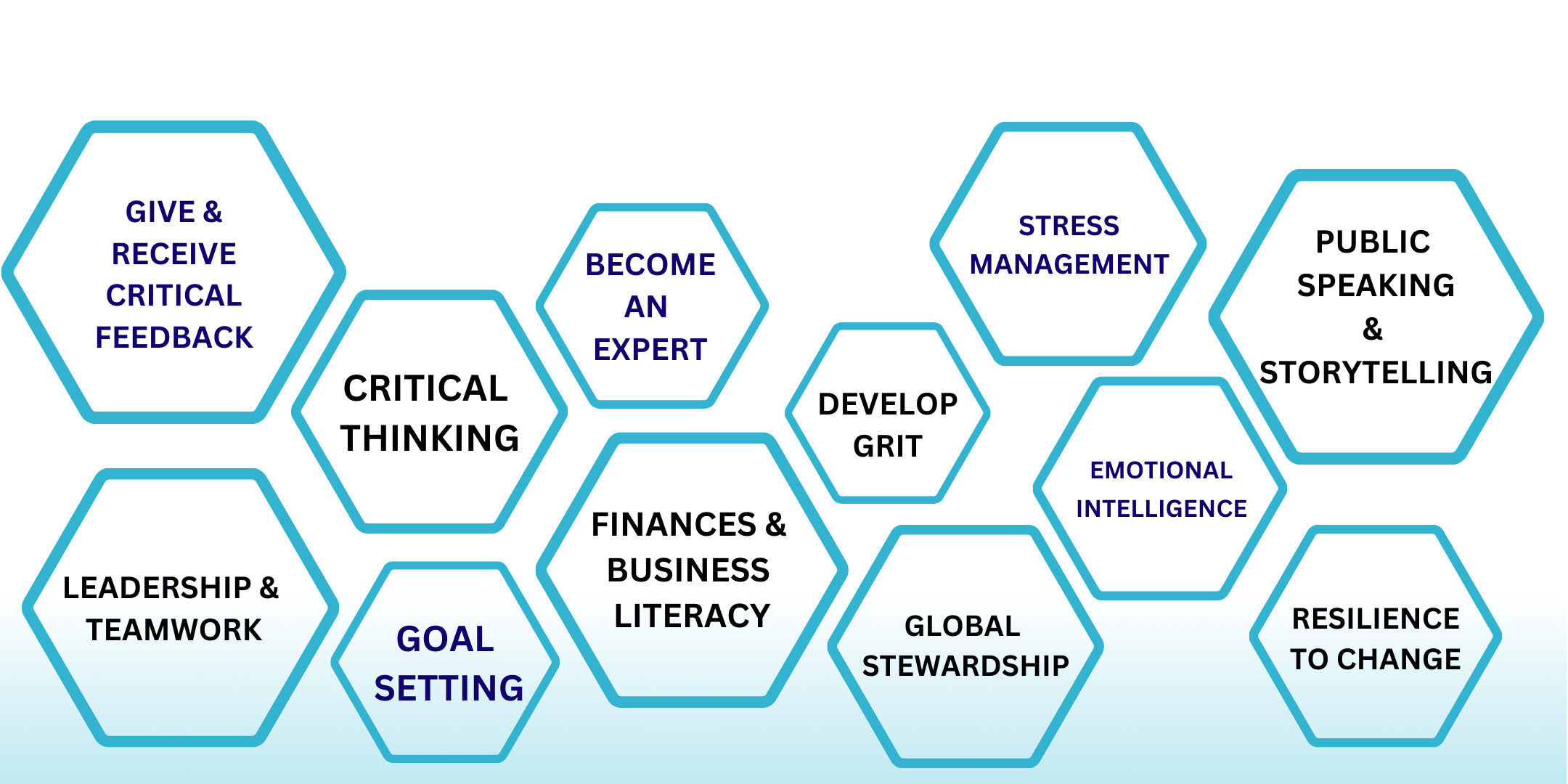 image of several hexagons with words inside each. words read left to right: give & receive feedback, leadership & teamwork, critical thinking, goal setting, become an expert, finances& business literacy, develop grit, global stewardship, street management, emotional intelligence, public speaking & storytelling, resilience to change